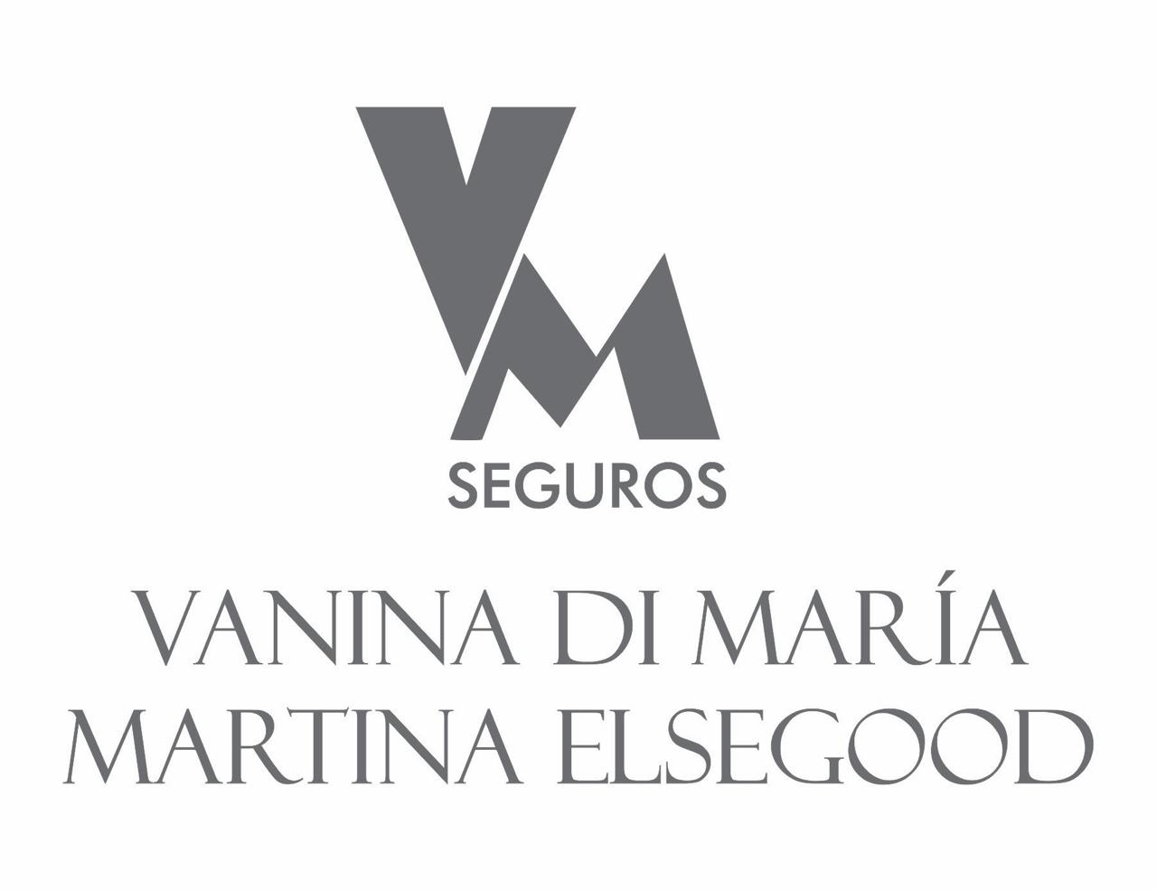 VM SEGUROS